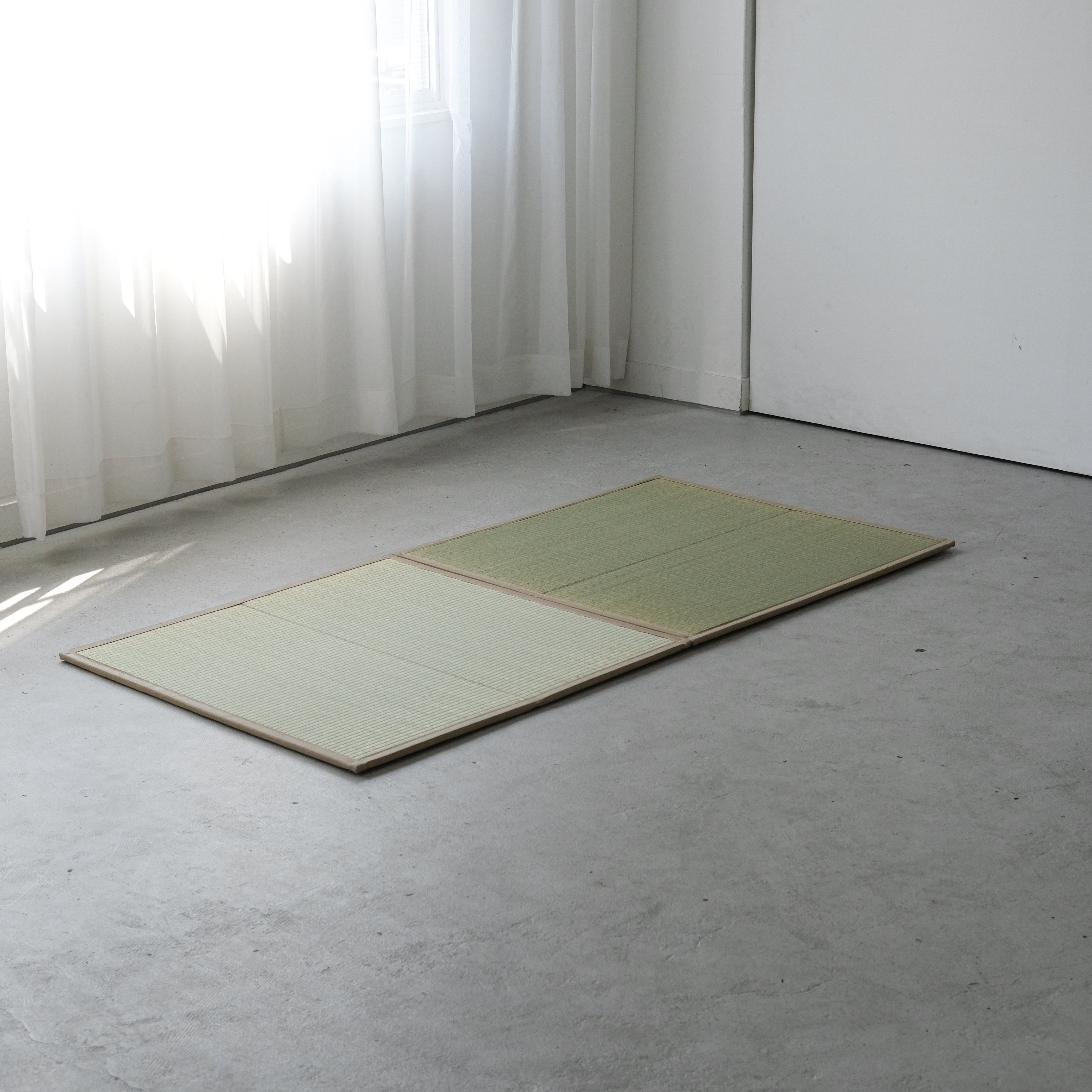 い草2つ折り畳 織姫