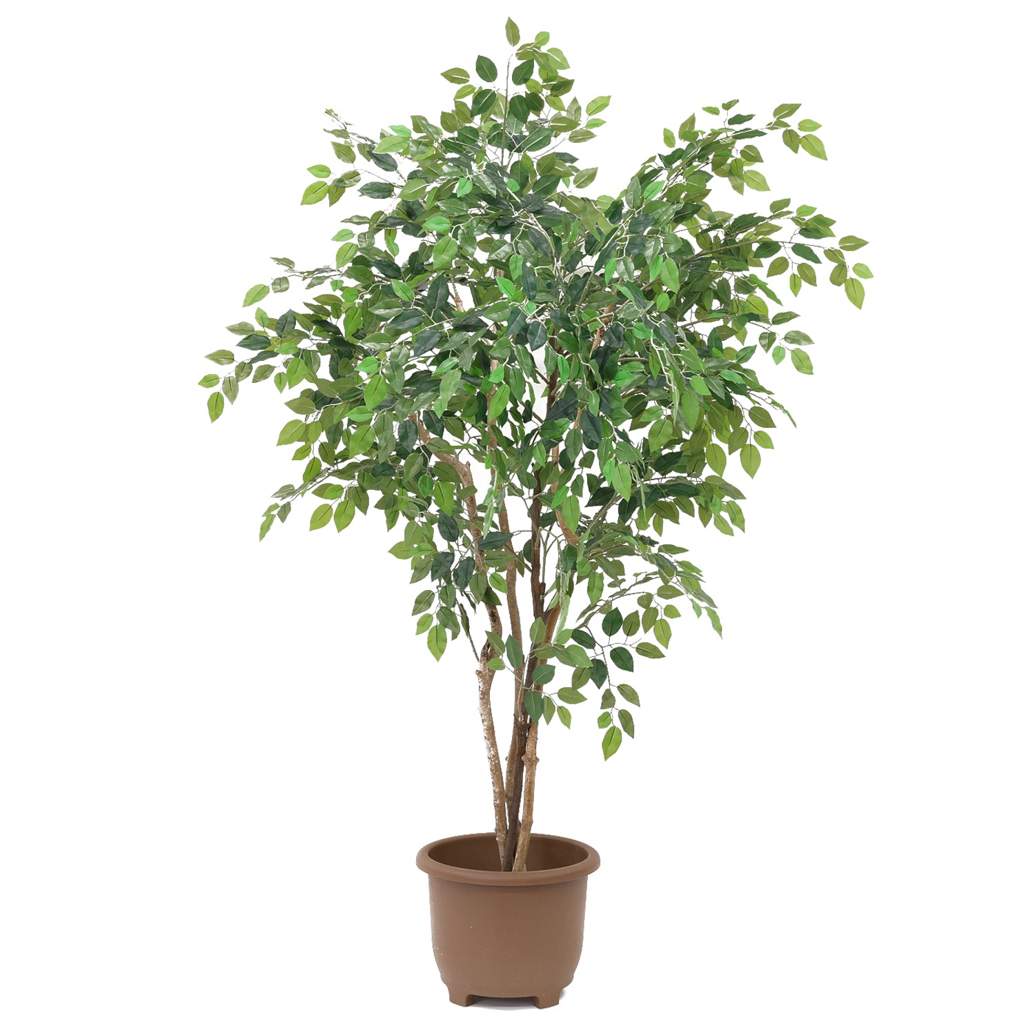 Artistic Tree